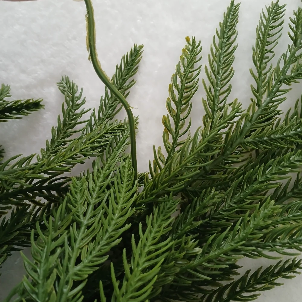 My Texas House Natural Feel Artificial Norfolk Pine Whispy Pick Set Of 3